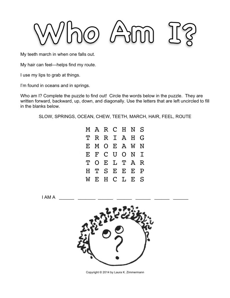 Who Am I website puzzle copyright Laura K. Zimmermann