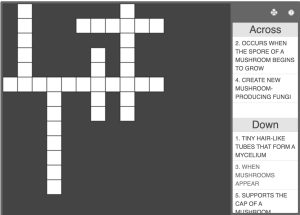 crossword puzzle link