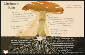 Mushroom Rain Parts thumbnail