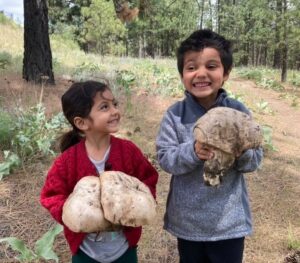 decorative picture of 2 kids holding big mushrooms